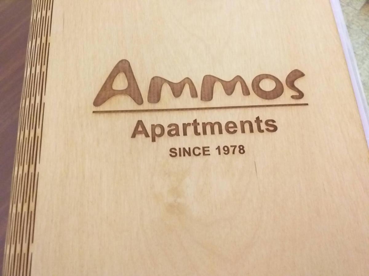 Ammos Apartments Айос-Ніколаос Екстер'єр фото